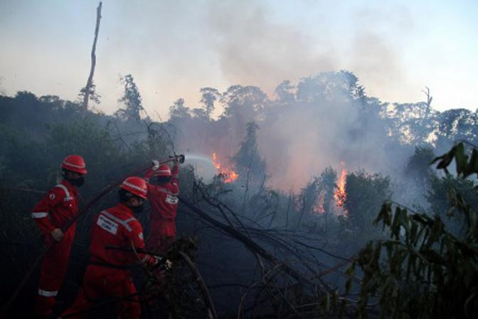 BPBD Kotawaringin: Kebakaran Lahan Gambut Meluas di Delapan Kecamatan