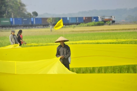 10 Desa Minta Gabung ke Malaysia, Jokowi Diminta Tingkatkan Dana Desa