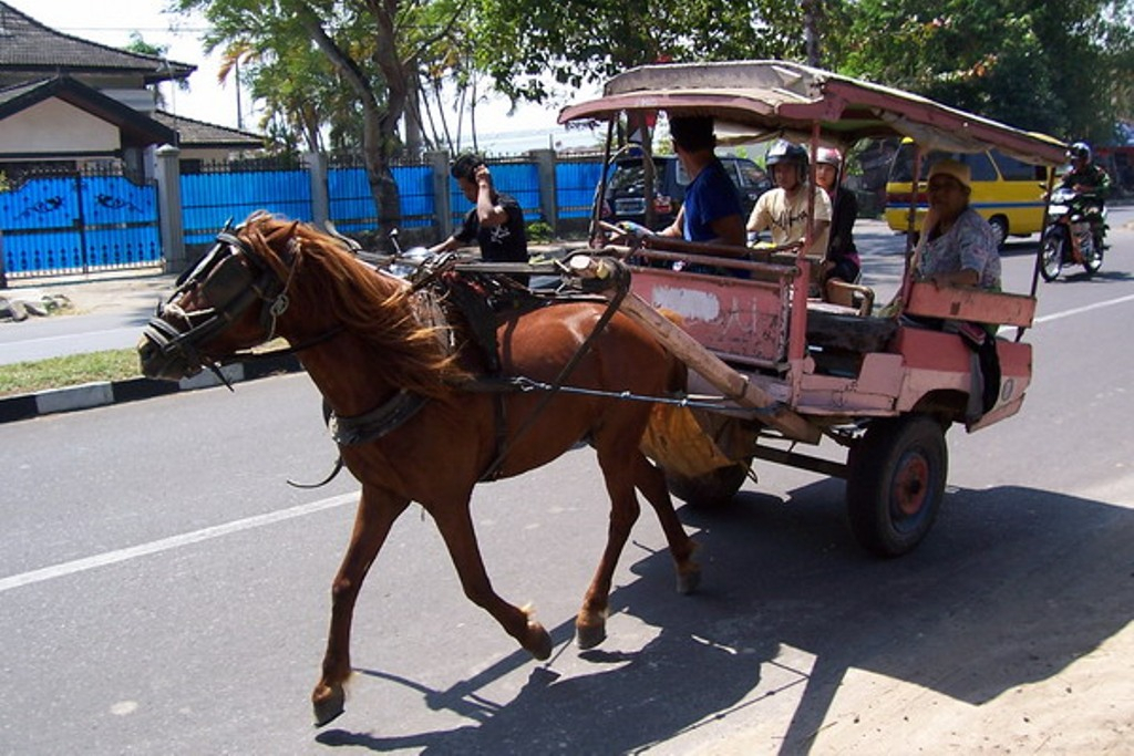 Kota Mataram Akan Sediakan Kereta Kuda Khusus Untuk Wisatawan