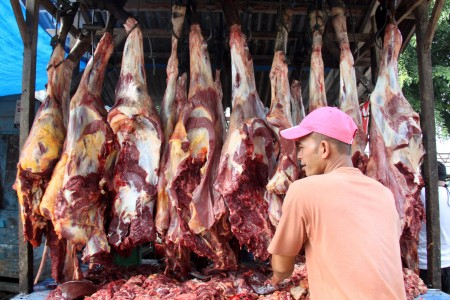 Pemerintah Perlu Kucurkan Subsidi untuk Kapal Pengangkut Sapi