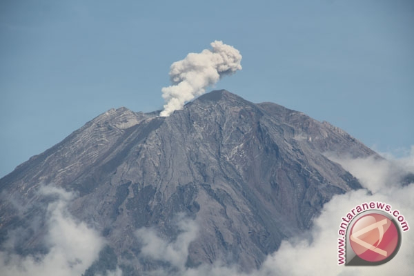 Aktivitas Meningkat, Semeru Steril dari Pendaki