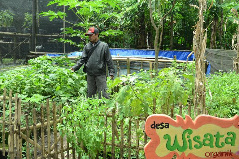 Produk Pertanian Organik Bondowoso Siap Bersaing di Pasar Bebas ASEAN