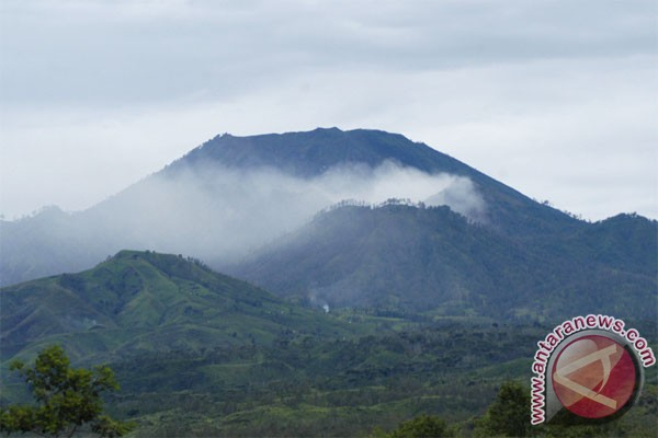 Hutan di Gunung Ijen Terbakar