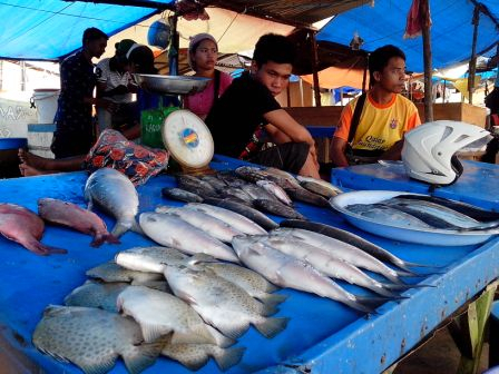 Bulan Purnama Dongkrak Harga Ikan di Nunukan