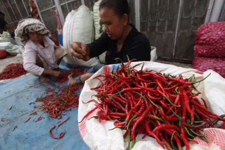Cabai di Mukomuko Bengkulu Mulai Menurun