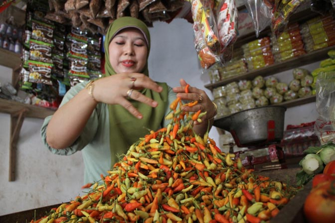 BBM Belum Naik, Harga Cabai di Jombang Melonjak 100 Persen