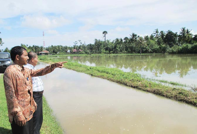 Ratusan Hektar Tanaman Padi di Aceh Utara Terendam Banjir