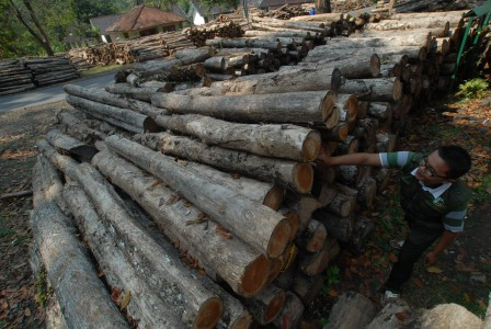 Berbahaya, PP No 6/2007 Harus Direvisi