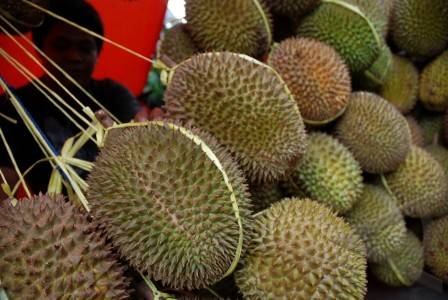 8 Negara Ramaikan Festival Durian di Medan pada Akhir Pekan