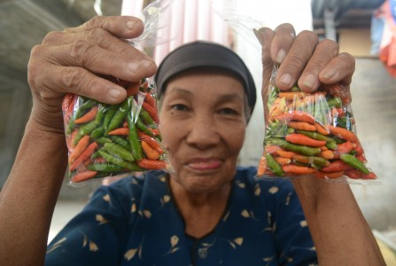 Pemerintah Takkan Impor Cabai Meski Harganya Terus Meroket