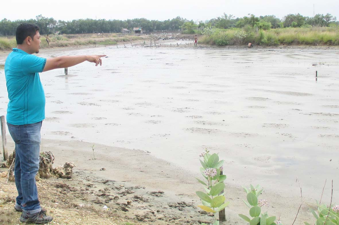 Dangkal, Puluhan Hektar Tambak di Lhokseumawe Terbengkalai