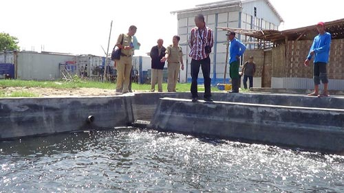 Pengolahan Ikan Rembang Buang Limbah ke Laut