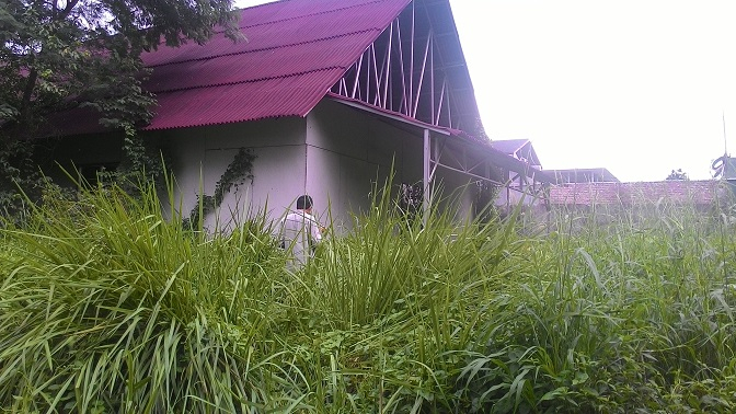 GKI Yasmin dan Kota HAM ala Bima Arya