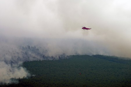 Selama 2014, 248 Orang Ditetapkan Sebagai Tersangka Kasus Kebakaran Hutan