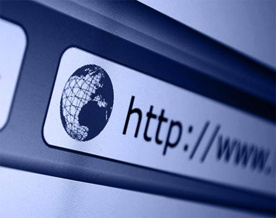 Penjualan Satwa di Internet Makin Marak