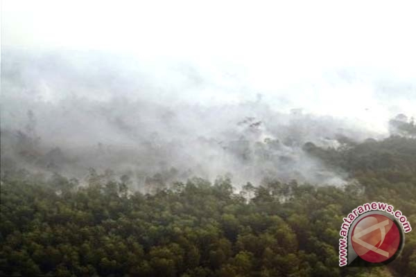 REDD+ Tolak Bergabung dengan Pemerintah