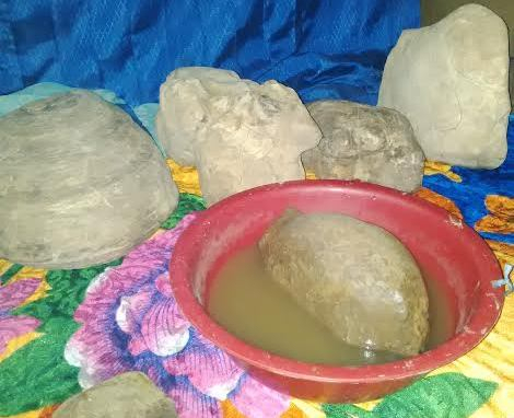 Niat Berburu Babi Hutan, Warga Muara Enim Malah Dapat Batu Aneh