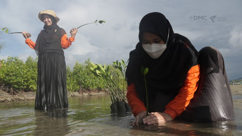 Dari Aceh untuk Aceh: Dompet Dhuafa Tanam 220 Mangrove