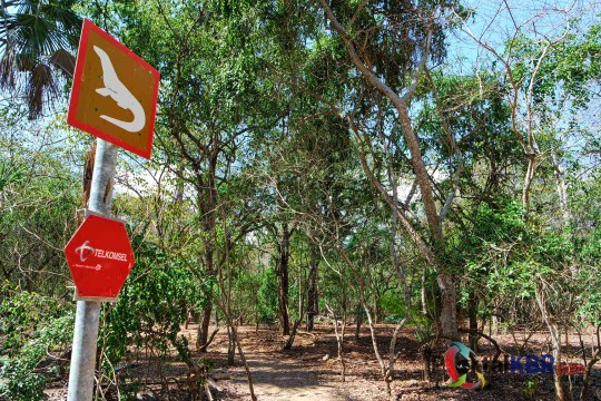 Tanda peringatan zona di mana komodo sering ditemukan.