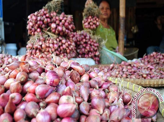 Kemendag Cek Bawang Impor di Pasaran