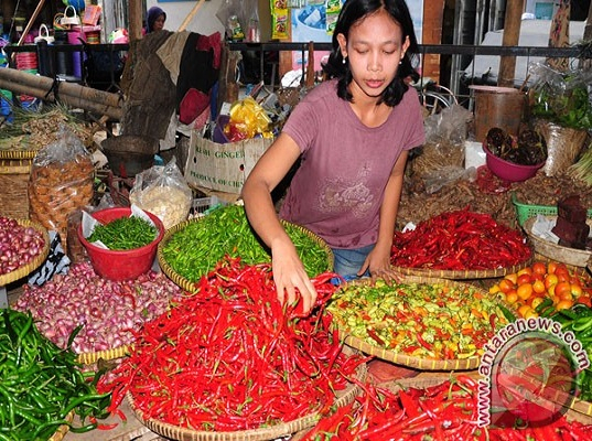  Sudah Sebulan Lebih Harga Bawang Merah Naik di Pontianak