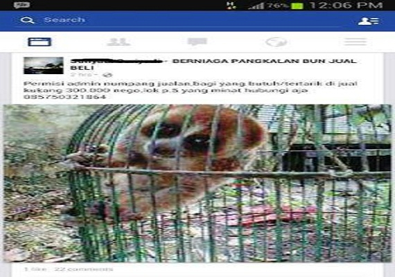 Antisipasi Penyelundupan Satwa Dilindungi, BKSDA Pantau Pelabuhan