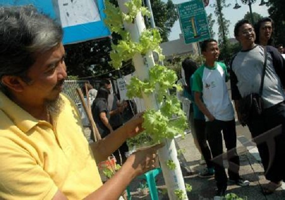 Pemprov DKI: Seluruh Wilayah Jakarta Wajib Tanam Sayur