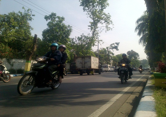 Cuaca Buruk, Pemudik Diminta Waspadai Pohon Tumbang