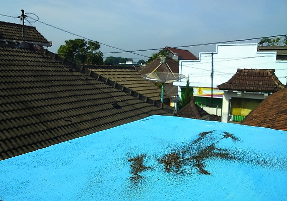 Bondowoso Diselimuti Abu Vulkanik Gunung Raung