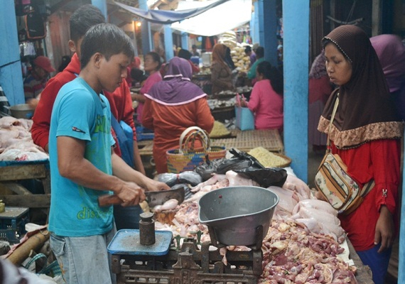 Ayam Berformalin, Konsumen Diimbau Waspada