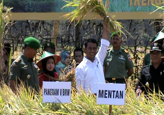 Dukung Ketahanan Pangan, NTB Dapat Kucuran Rp 1 T