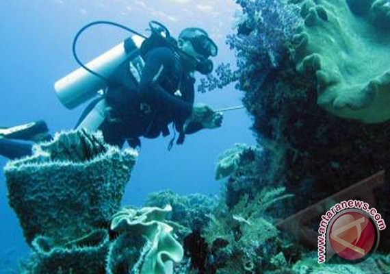 Tim Gabungan Masih Cari Turis yang Hilang di Derawan