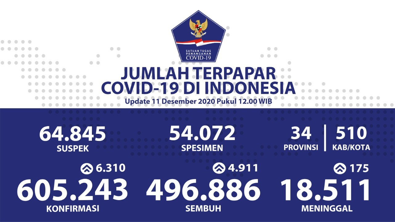 Kesembuhan Kumulatif COVID-19 Mencapai 496.886 Orang
