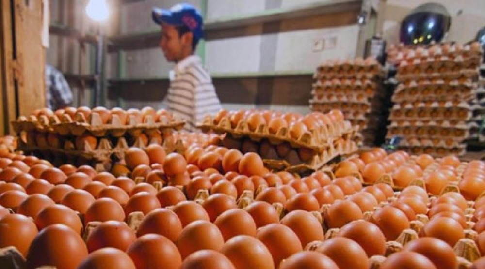 IKAPPI: Kenaikan Harga Telur Tidak Wajar
