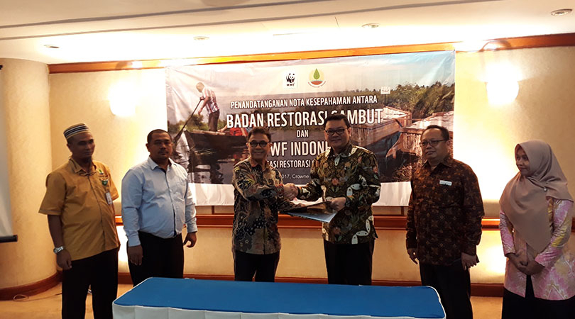 [Advertorial] BRG dan WWF Sepakati Kerjasama Penyelamatan Ekosistem Gambut