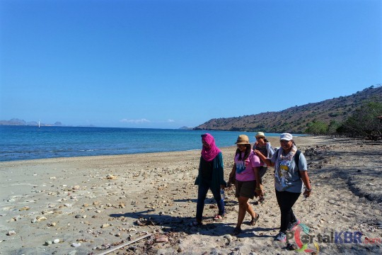 Keindahan pantai di pesisir Pulau Komodo, NTT. Selain bisa melihat komodo, wisatawan juga bisa menik