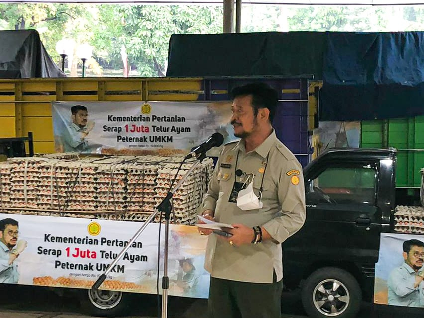 Kementan Serap 1 Juta Telur dari Peternak Rakyat