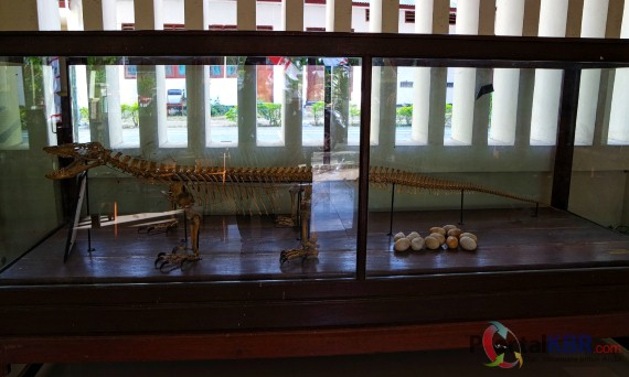 Fosil komodo yang dikeraskan dipajang di Kantor Taman Nasional Komodo di Labuan Bajo, Kabupaten Mang