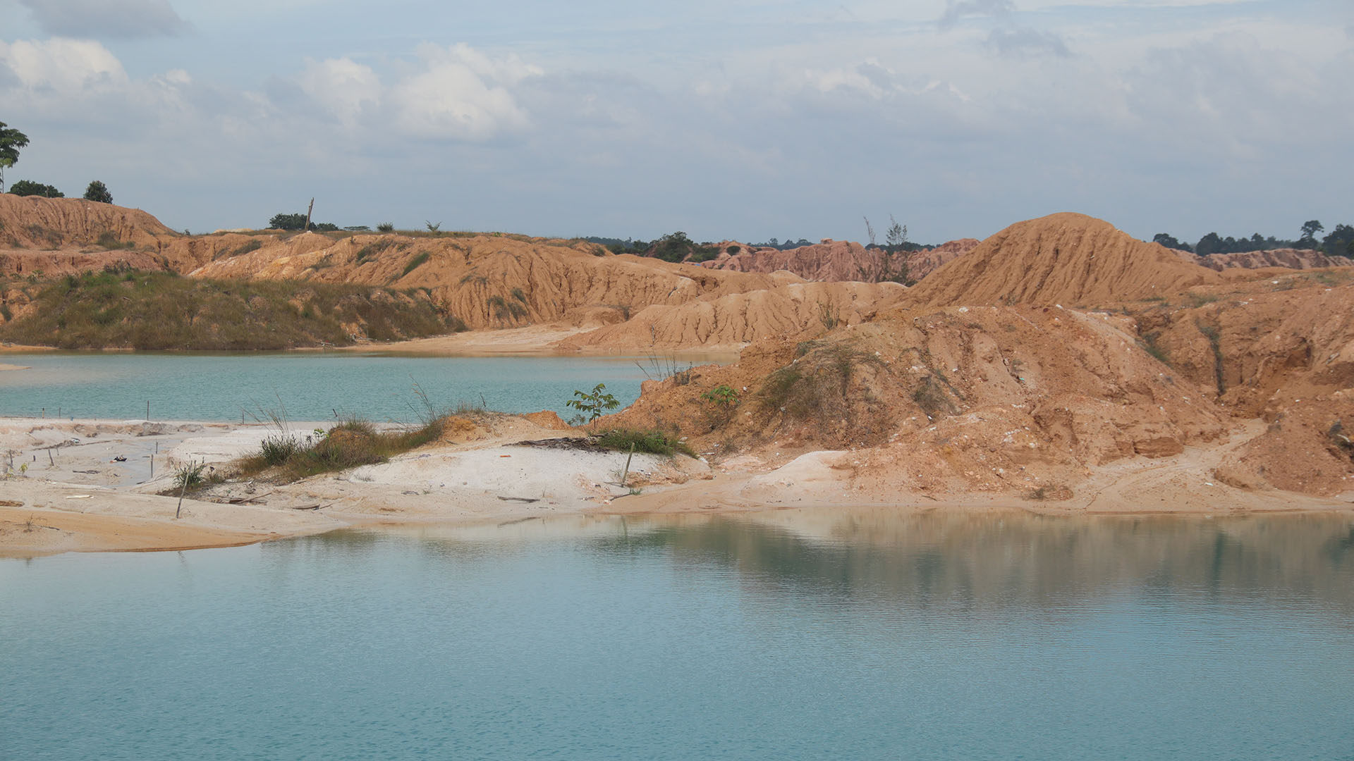 Lahan bekas tambang timah di Desa Namang, Bangka Tengah. Lokasinya tak sampai 1 km dari Hutan Pelawan. (Foto: KBR/Astri)