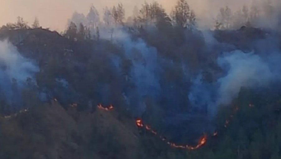 Masih Dihitung, Luas Karhutla di Balai Taman Nasional Gunung Rinjani, NTB
