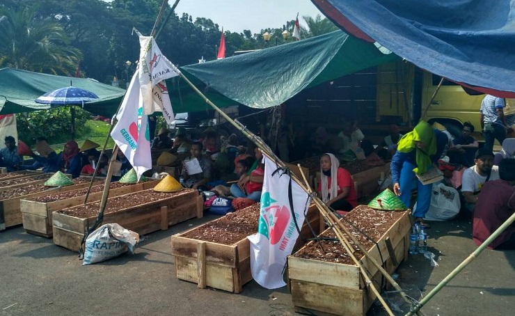 Konflik Lahan, Jokowi  Serahkan SK Pemanfaatan Hutan  untuk Petani Teluk Jambe