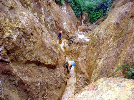 Lahan Pertambangan di Jawa Timur Capai Ratusan Ribu Hektare