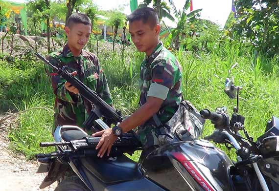 Serangan Babi Meluas, Warga Minta Bantuan TNI 