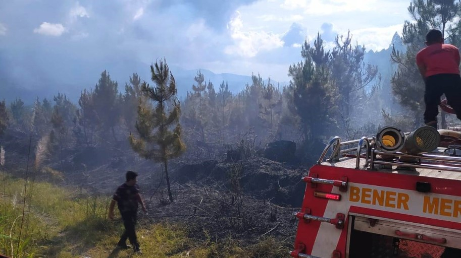 Lima Hektare Hutan di Kawasan Jalan Bandara Rembele, Aceh Terbakar