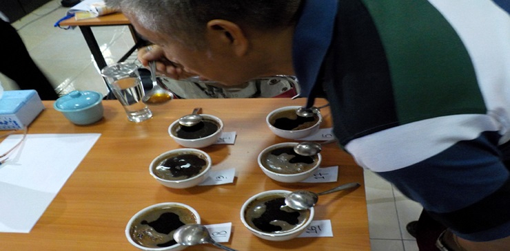 Kembangkan Pasar, Pemkab Bondowoso Gelar Festival Kopi Nusantara