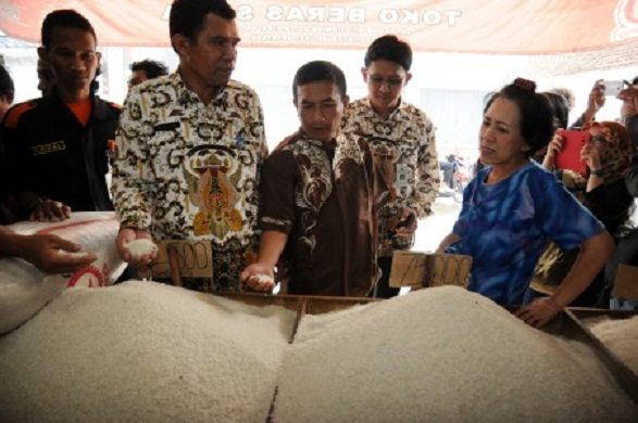 Serapan BULOG Tak Maksimal, Impor Beras Terbuka