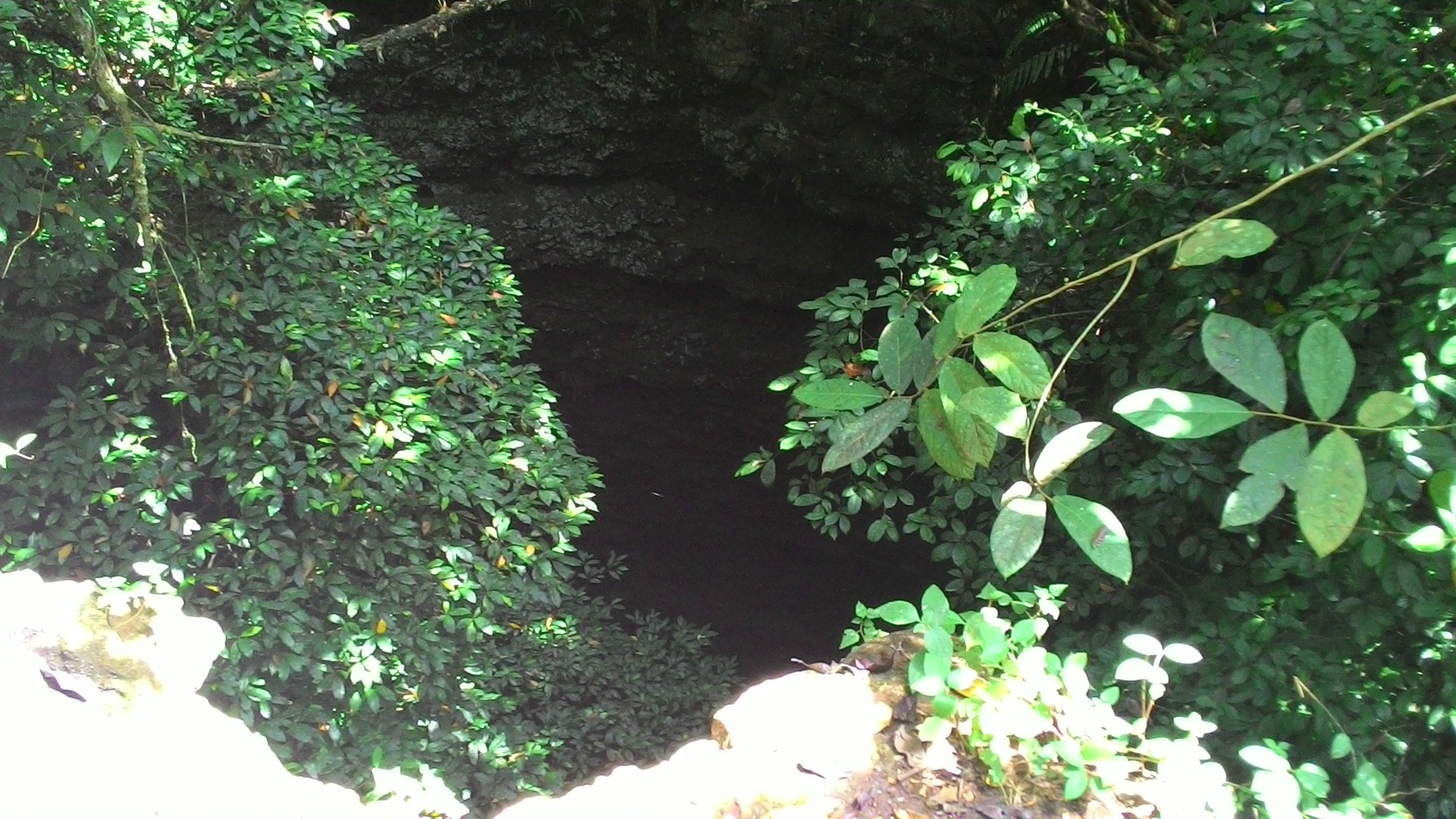 [SAGA] Menyusuri Gua Pembasmian PKI di Gunungkidul 