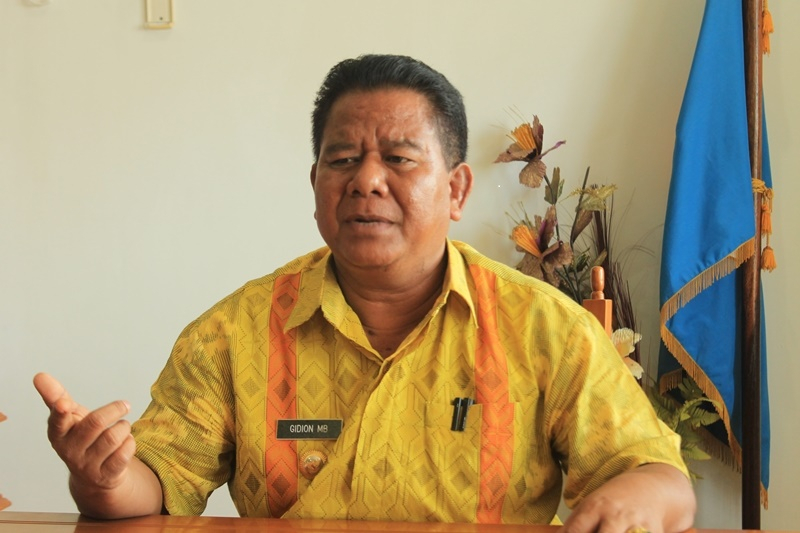 Serangan Belalang Kembara, Bupati Sumba Timur Nyatakan Darurat Bencana