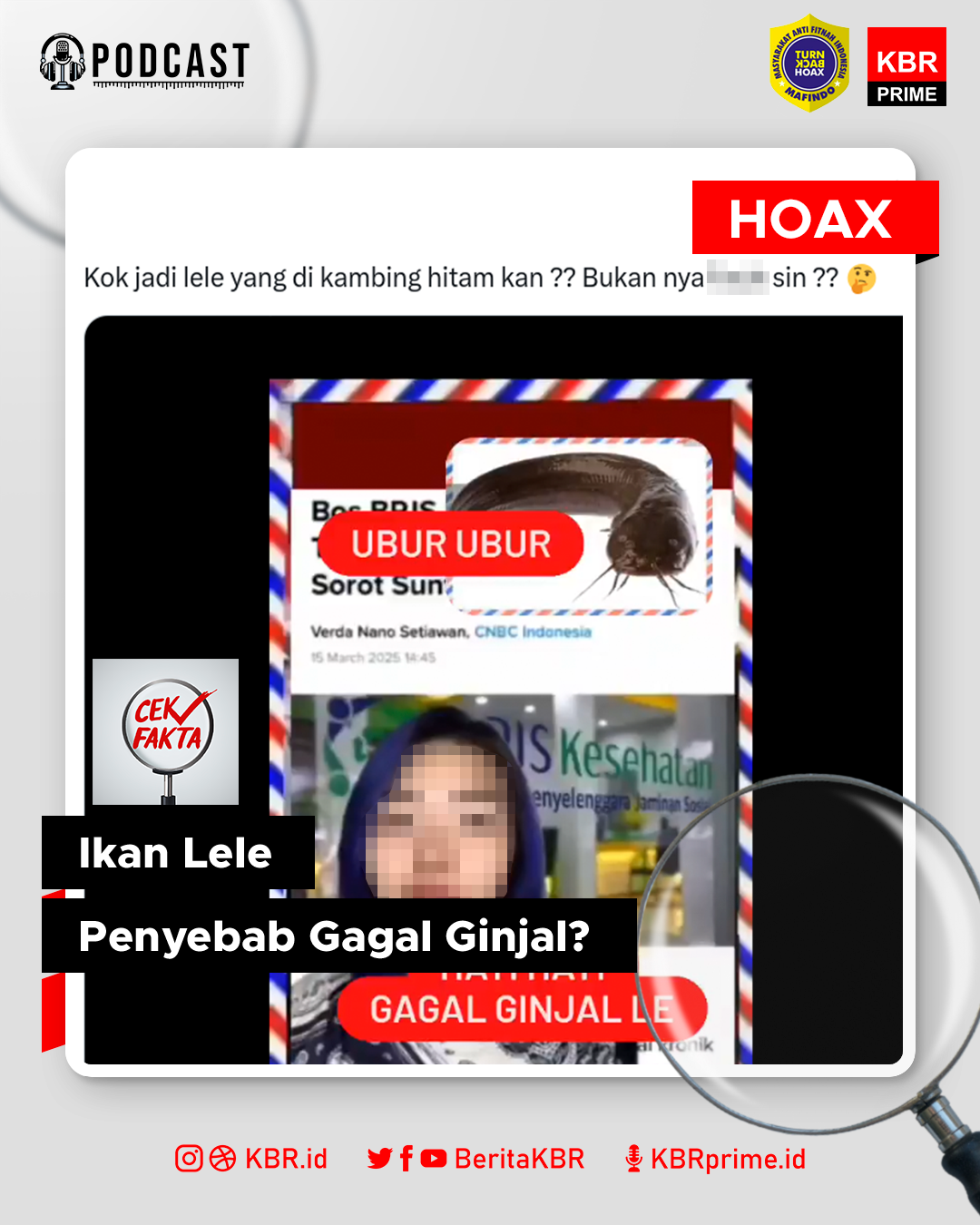 Cek Fakta: Video Bernarasi Ikan Lele Penyebab Gagal Ginjal?