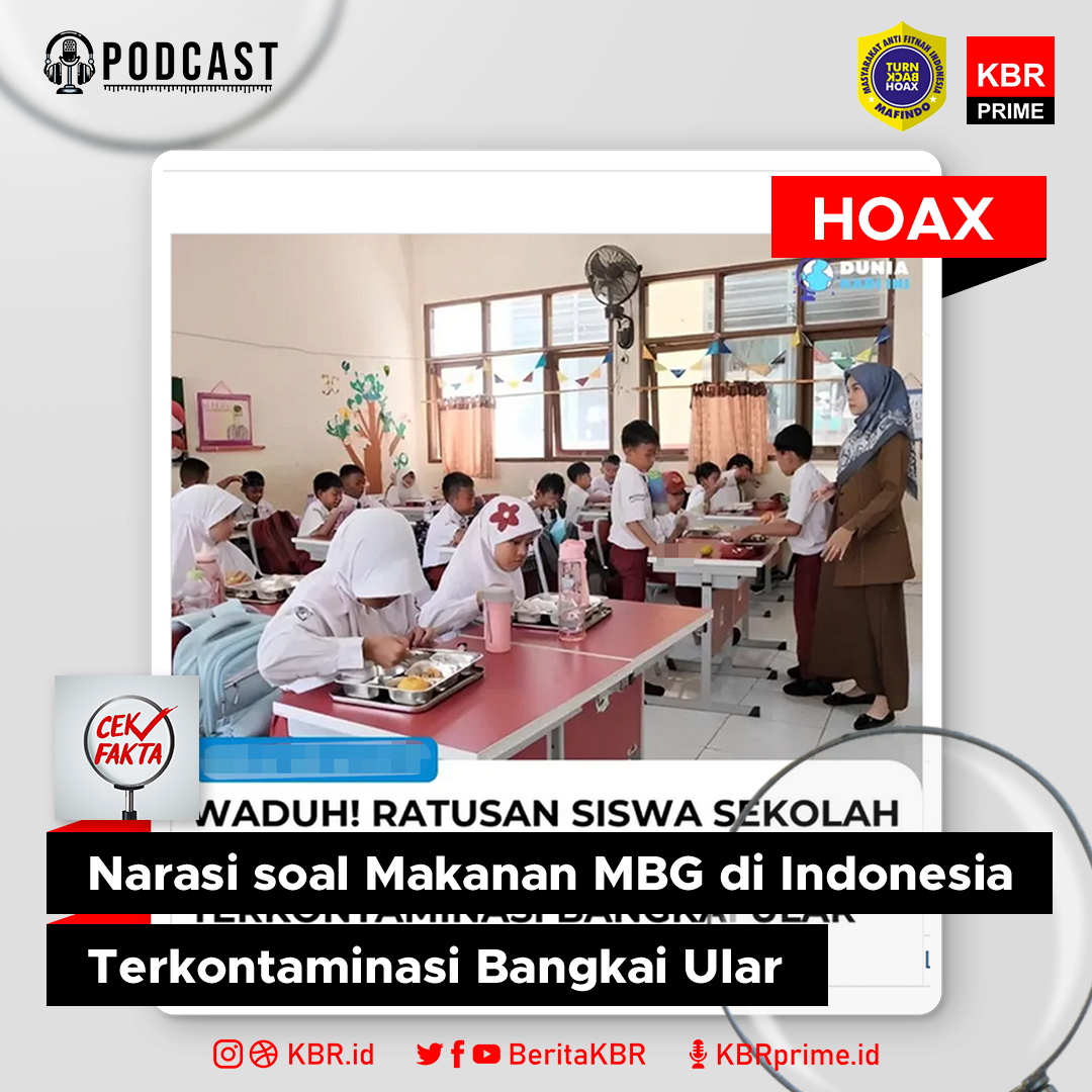 Cek Fakta: Narasi soal Makanan MBG di Indonesia Terkontaminasi Bangkai Ular?
